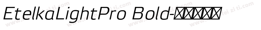EtelkaLightPro Bold字体转换